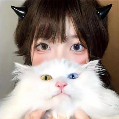 加菲猫的幸福生活第一季