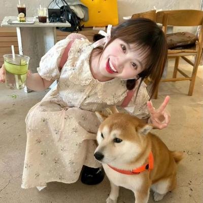 疯狂的麦咭第八季